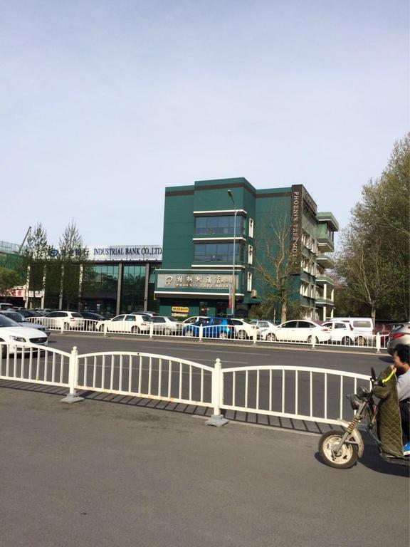 Daxing  Beijing Phoenix Tree Hotel المظهر الخارجي الصورة